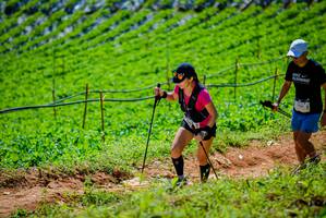 BIB: 186, 1011
                            <button type="button" onclick="openModal(19163817)" class="btn btn-primary btn-sm float-right btn-popup" data-toggle="modal" data-target=".modal-high-quality">
                        <i class="fas fa-shopping-cart"></i> Add to Cart
                    </button>
                                            <button type="button" onclick="isThisMe(19163817, true)" class="btn btn-success btn-sm float-right btn-popup btn-isme hidden" data-toggle="tooltip" data-placement="bottom" title="นี่คือรูปของคุณใช่ไหม คลิกที่นี่เพื่อเอาเข้าอัลบั้ม">
                        <i class="fas fa-plus"></i> Add to album
                    </button>
                    <button type="button" onclick="isThisMe(19163817, false)" class="btn btn-warning btn-sm float-right btn-popup btn-isnotme hidden">
                        <i class="fas fa-ban"></i> Remove from album
                    </button>